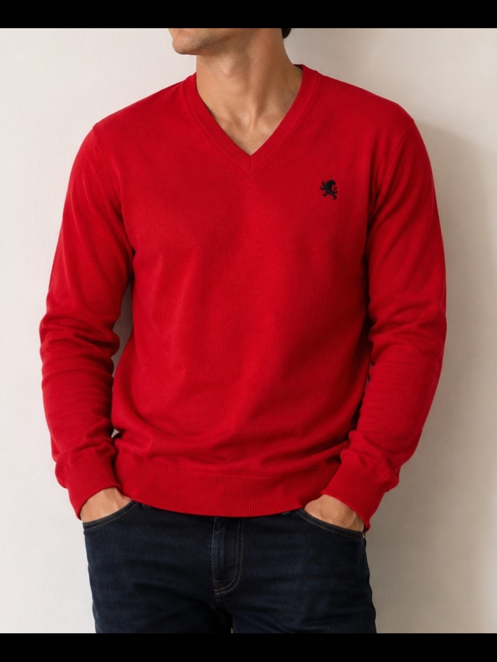 Express Men's Red V-Neck Cotton Sweater with Embroidered Chest Logo
